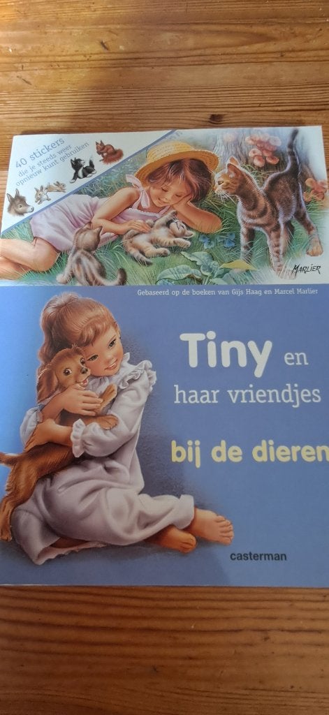 Boek stickerboek ´ Tiny en haar vriendjes ´, Ophalen, Nieuw, Gijs Haag, Fictie algemeen