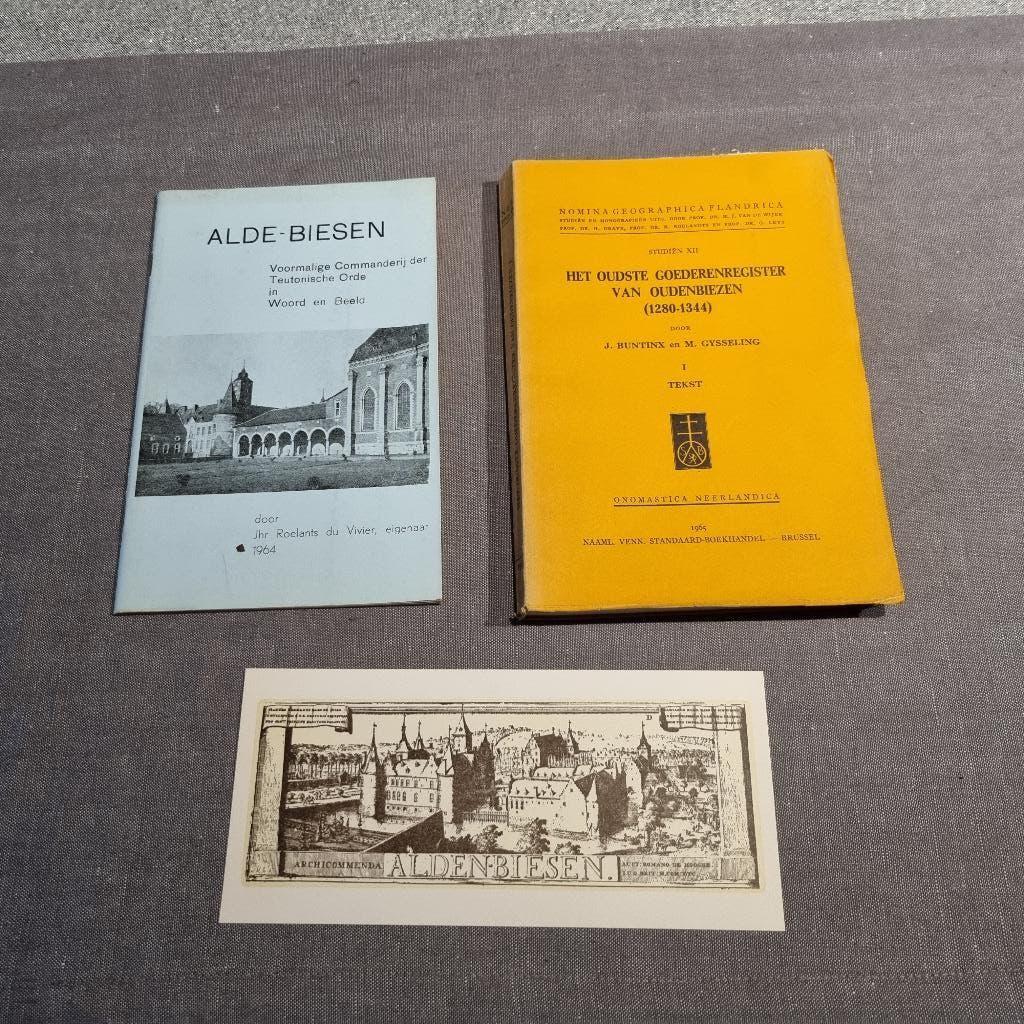 2 boeken over Alden-Biesen, Buntinx, Enlèvement ou Envoi, Utilisé, 20e siècle ou après
