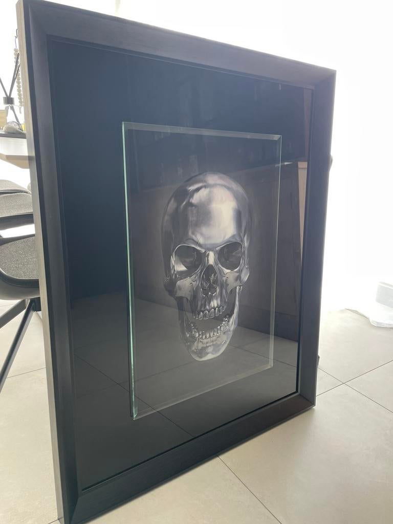 Glasplaat met houten kader schedel 3D., Huis en Inrichting, Haarden, Ophalen, Zo goed als nieuw