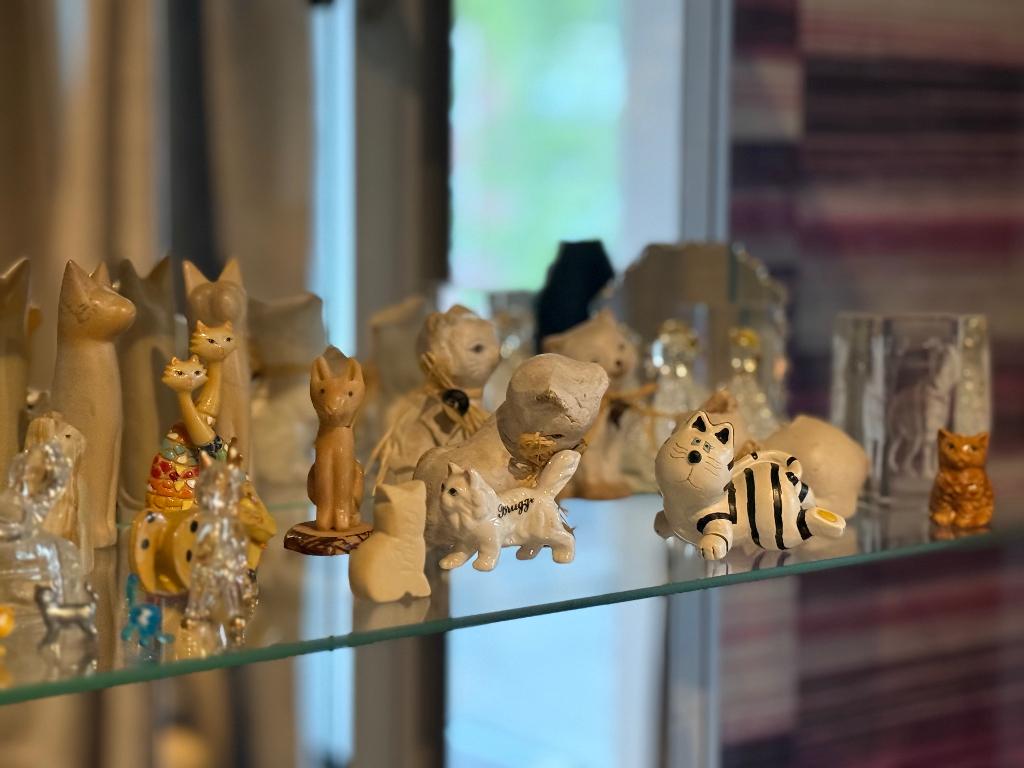 Katten, Huis en Inrichting, Woonaccessoires | Overige, Ophalen, Meerkleurig, Overige materialen, Overige stijlen