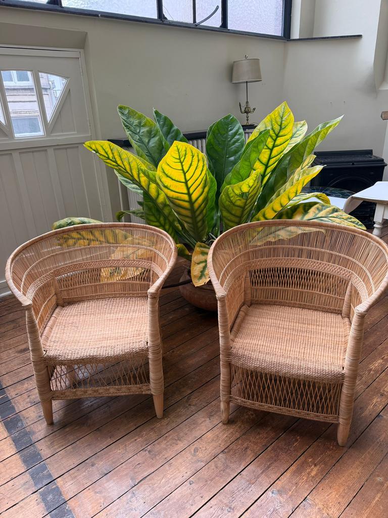 Lot de 2 chaises fauteuils en osier, Enlèvement, Comme neuf