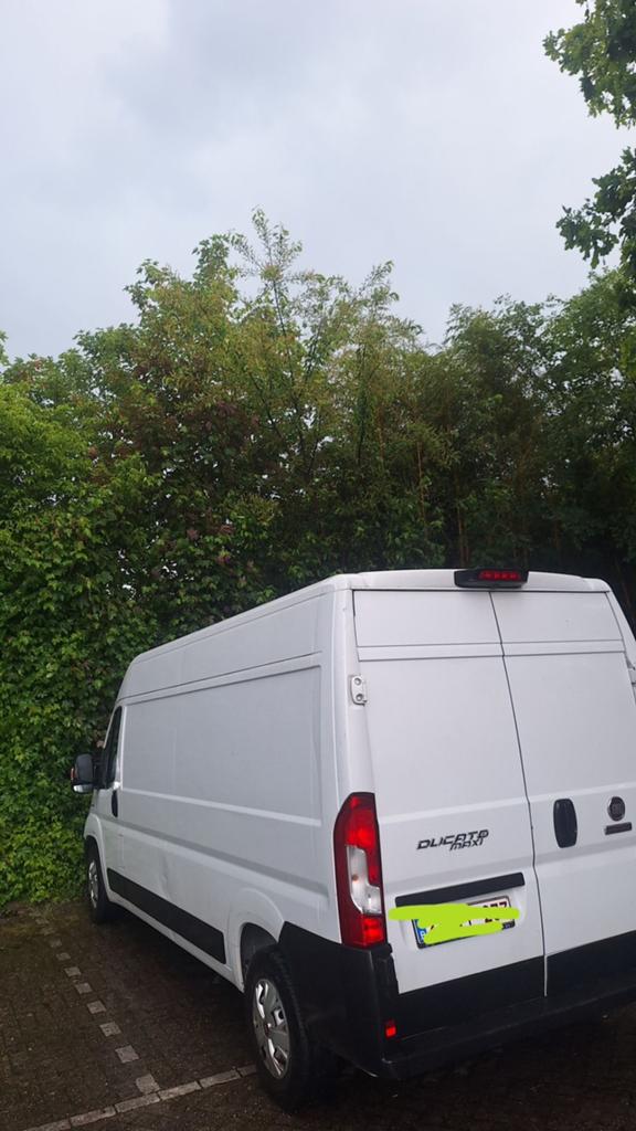 Ramassez la saleté, videz les pièces de jardin ou démontez, Offres d'emploi