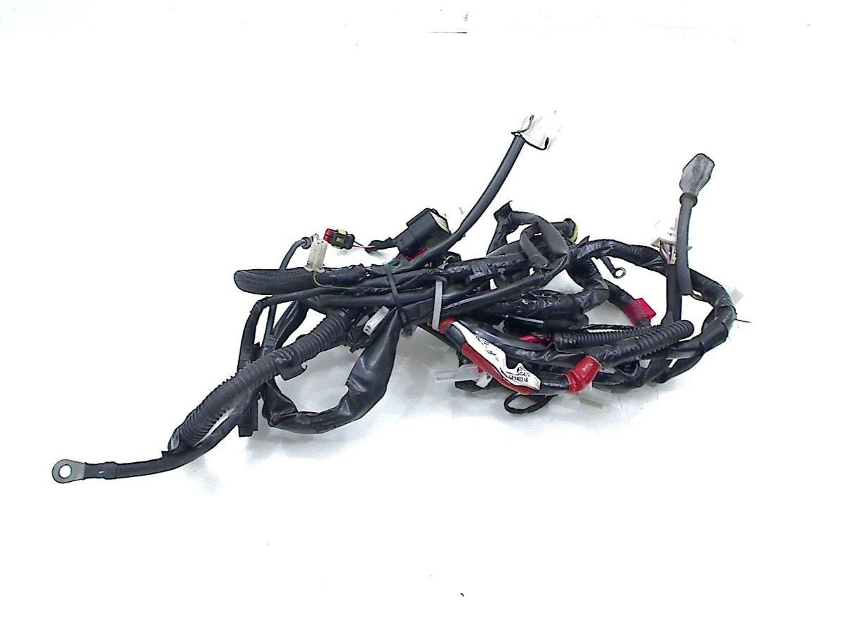FAISCEAU DE CÂBLAGE DIVERS Piaggio (1D000150), Piaggio, P.J. Troelstraweg 8 8
3144 CX  MAASSLUIS, NL, Info@cama-motorparts.nl