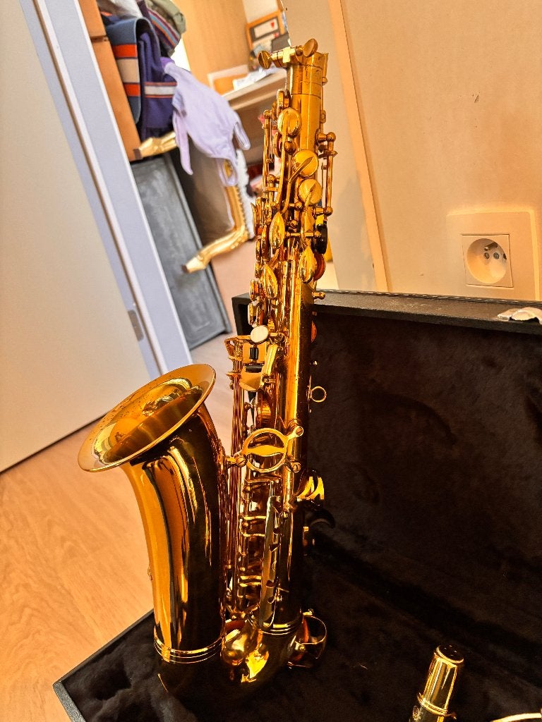 Altsaxofoon LM 2000 (1995) met harde koffer en toebehoren, Muziek en Instrumenten, Ophalen, Gebruikt, Alt, Met koffer