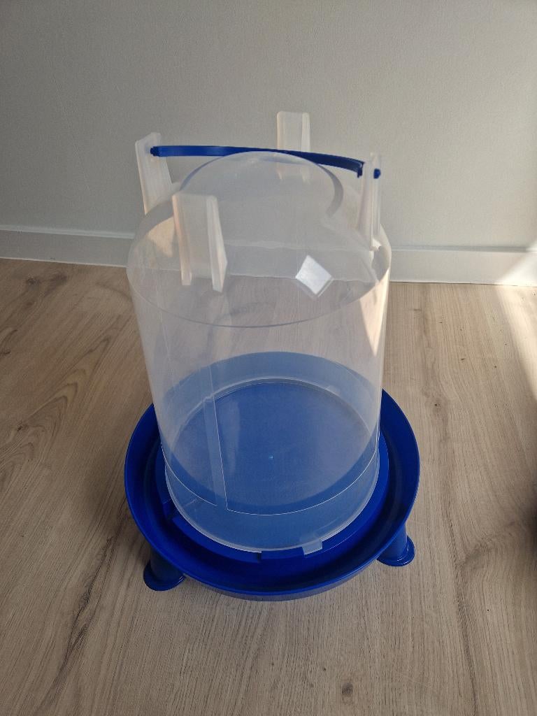 Drinkpot voor kippen, Kip