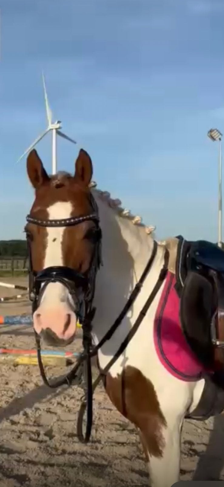 Beau poney dessiné, Animaux & Accessoires, Enlèvement, Comme neuf