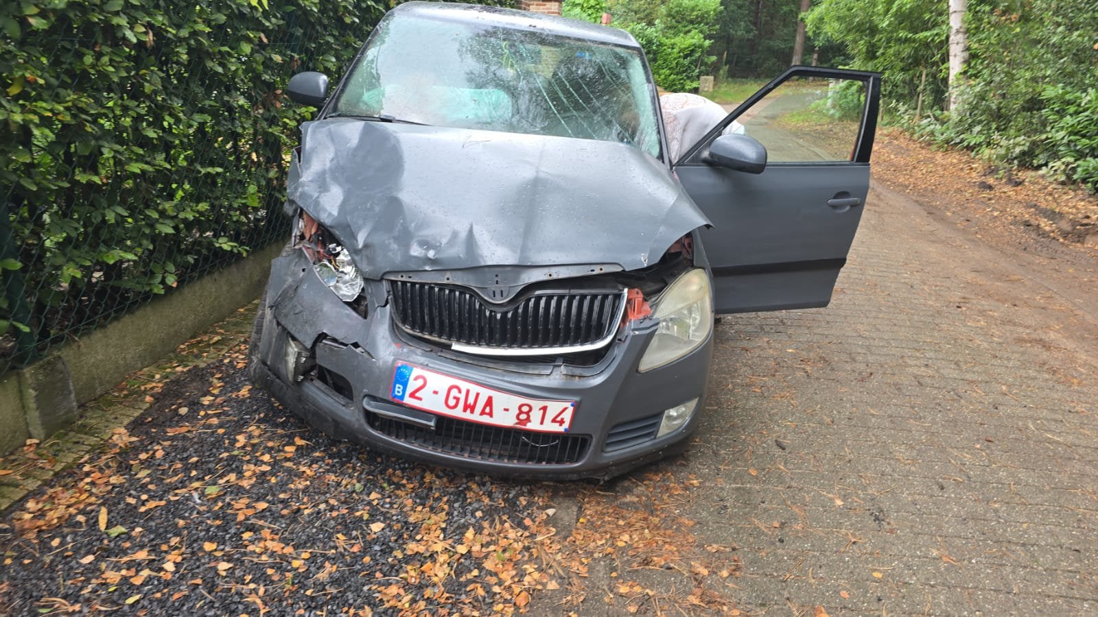 Skoda fabia voor afbraak, Ophalen, Voor, Skoda