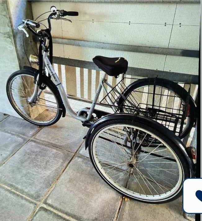 Driewieler fiets, Fietsen en Brommers, Fietsen | Driewielfietsen, Ophalen