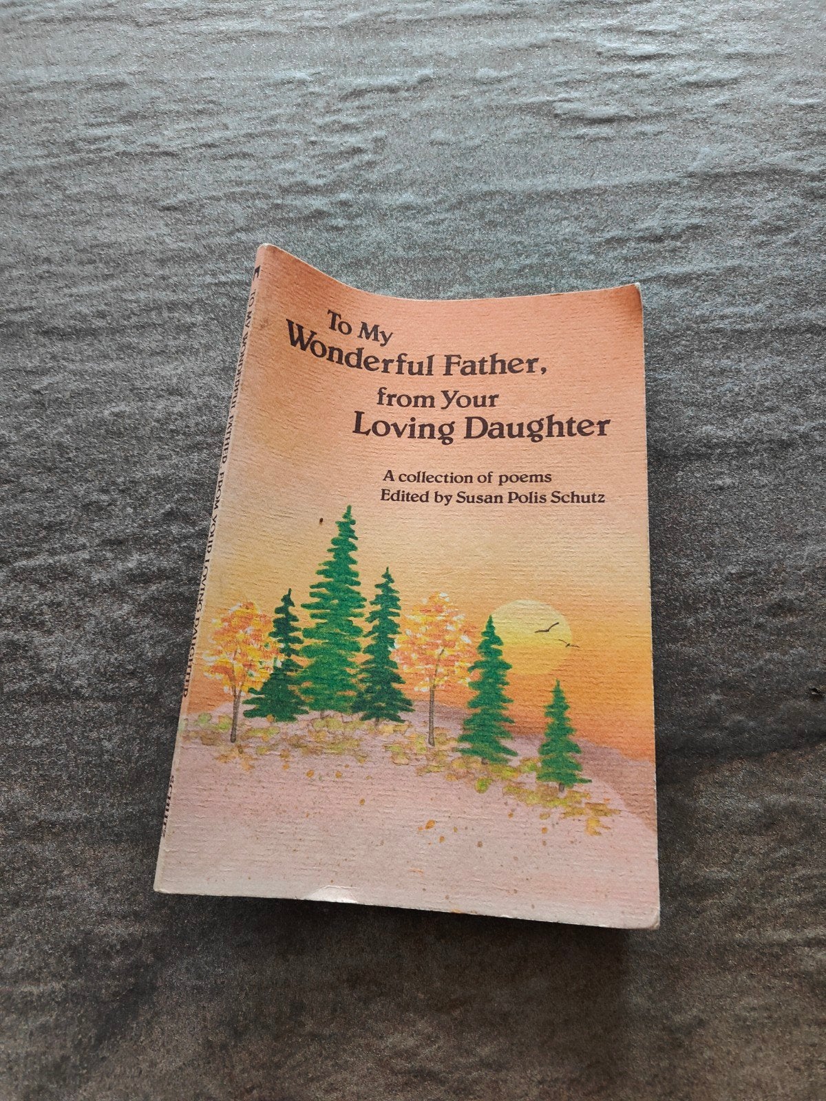 By My Wonderful Father - gedichten, Livres, Poèmes & Poésie, Enlèvement, Utilisé