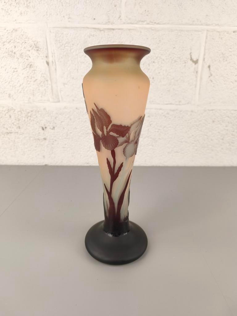 Art nouveau cameo vaas La Rochère, Enlèvement ou Envoi