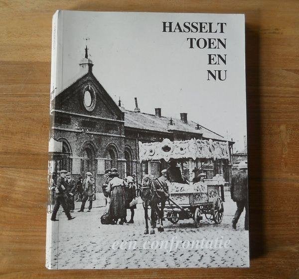 Hasselt Toen En Nu ... Een Confrontatie, Boeken, Geschiedenis | Nationaal, Ophalen of Verzenden, Gelezen