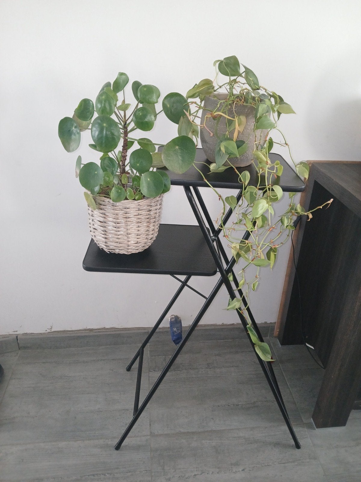 Table de projecteur vintage / Porte-plantes industriel – Éta, Enlèvement