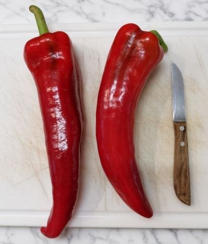 5 graines de Corno di torro rouge - très gros poivron pointu, Envoi, Printemps, Plein soleil, Graine