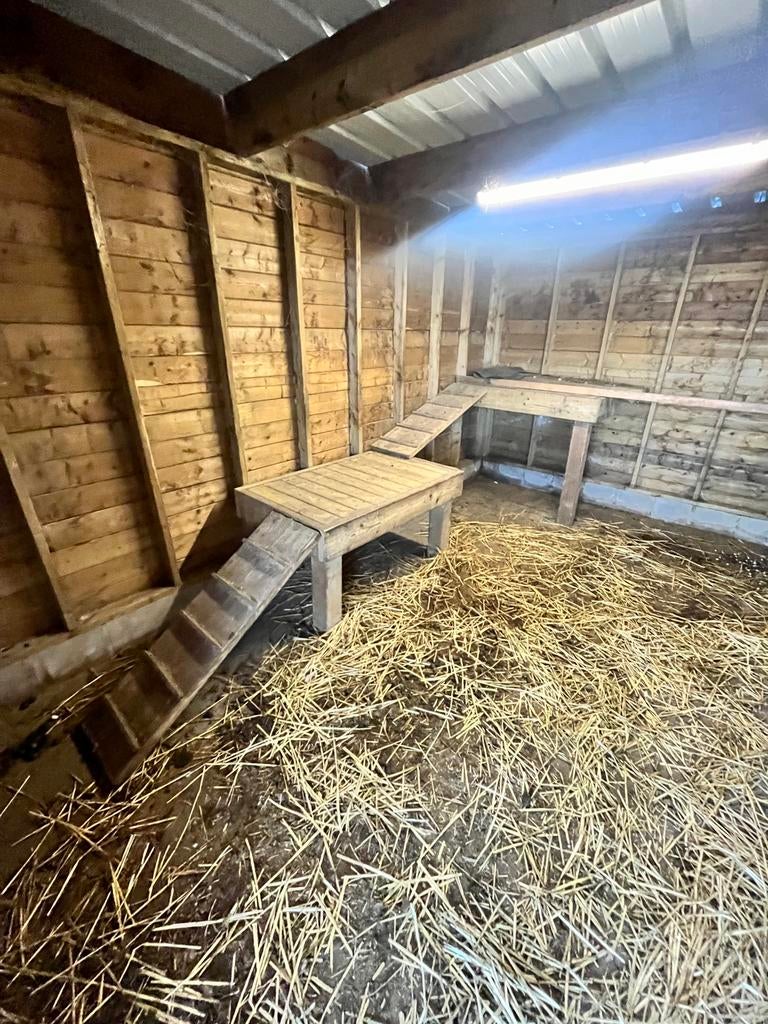 Rustplatform voor geitjes, Dieren en Toebehoren