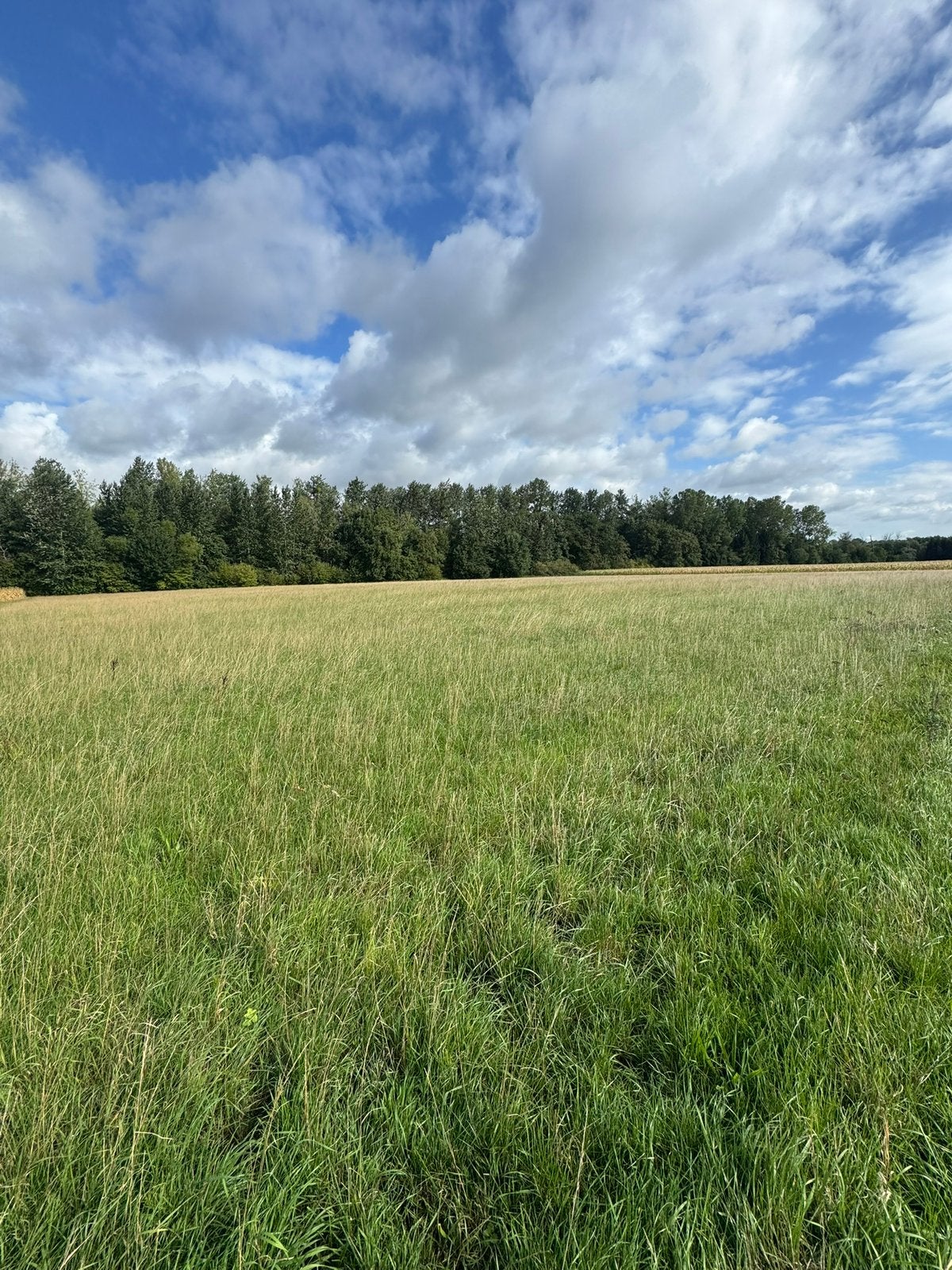Te koop 1,5 Ha landbouwgrond, Weidegang