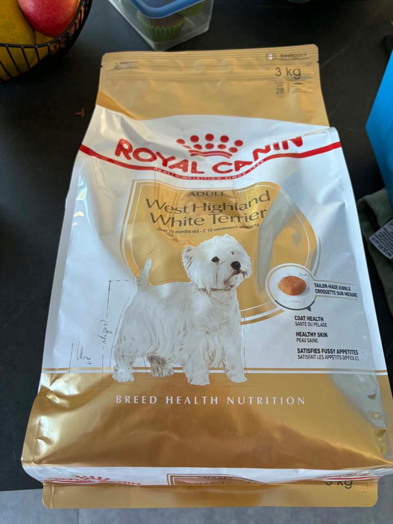 Honden eten en shampoo, Ophalen, Hond