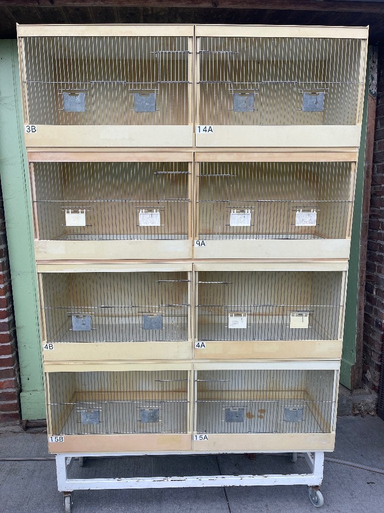Kweekkooien, Enlèvement, Utilisé, Synthétique, Cage d'élevage