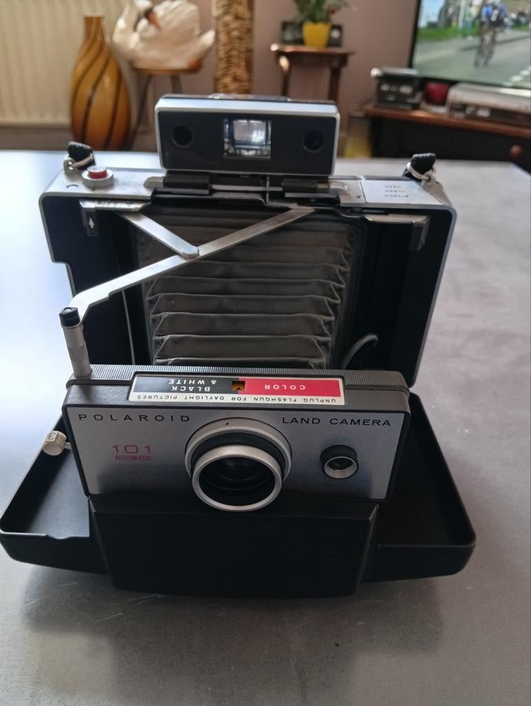 Appareil photo polaroïd 101, Enlèvement