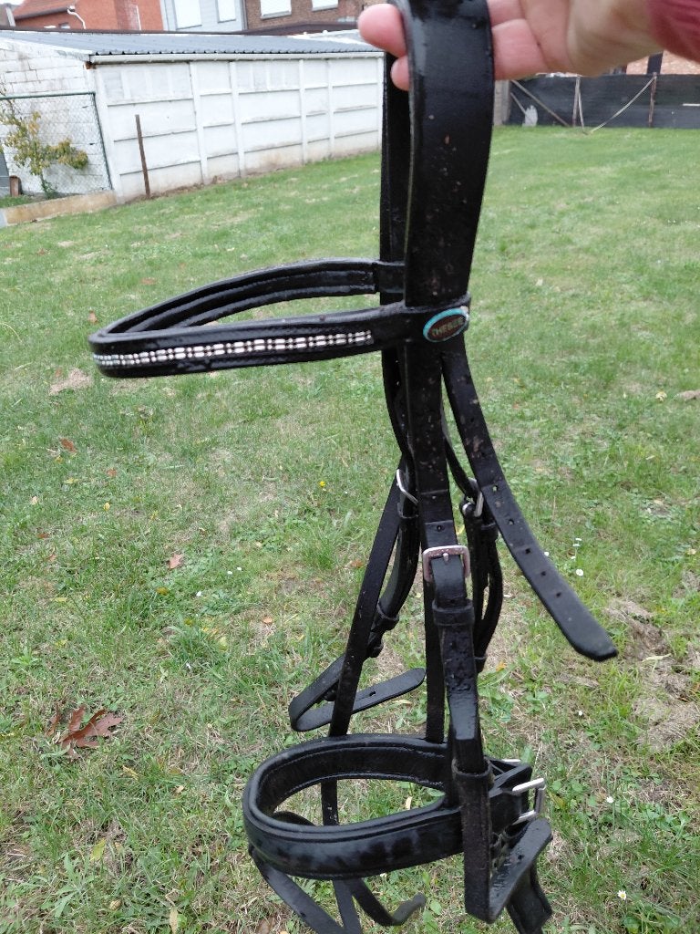 Paardenspullen, Dieren en Toebehoren, Ophalen, Inclusief bit, Zwart, Full