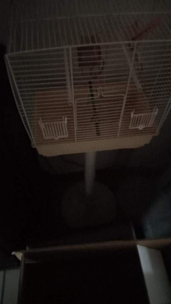 Petite cage à oiseaux avec bols de nourriture sur support, Enlèvement