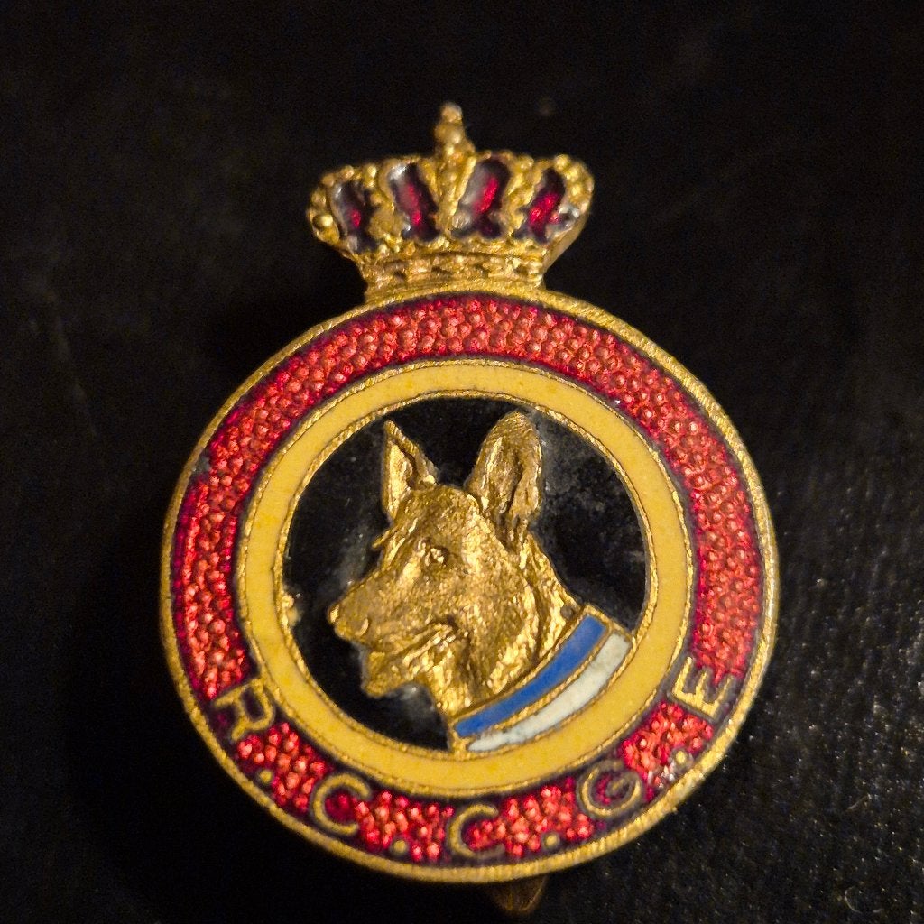 Berger allemand (RCCGE), Animaux & Accessoires, Enlèvement ou Envoi, Utilisé, Autres types