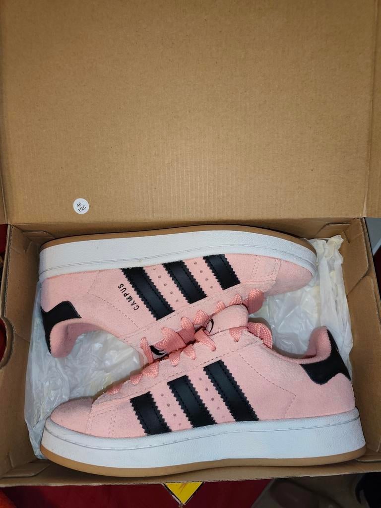 Véritable Adidas Campus, Kleding | Dames, Ophalen