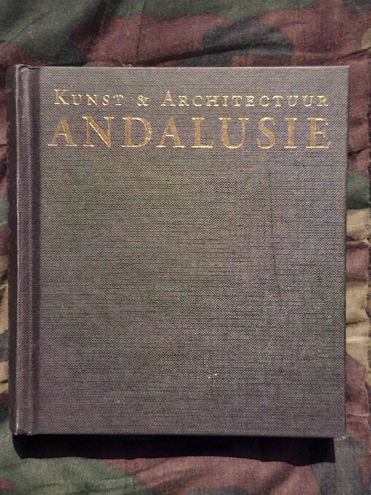 Kunst & Architectuur Andalusië, Boeken, Ophalen of Verzenden, Gelezen