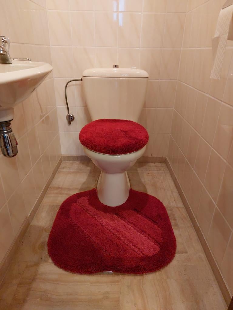Toilet en lavabo, Gent
