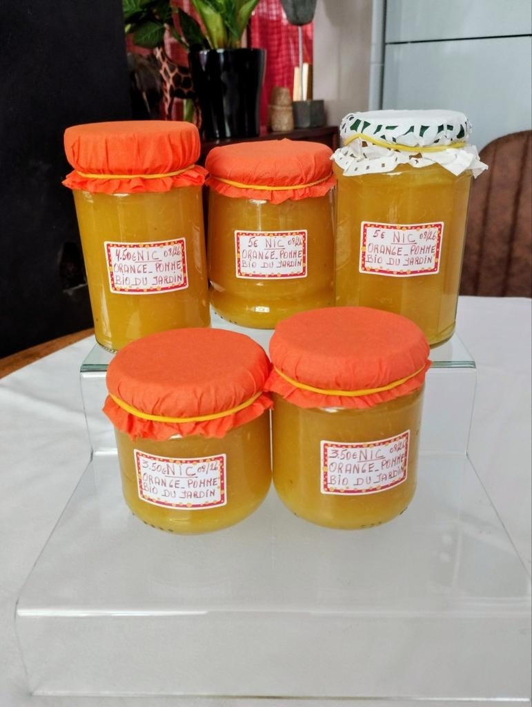 Confiture MAISON ARTISANALE à L'ORANGE/POMMES BIO DU JARDIN, Divers, Enlèvement
