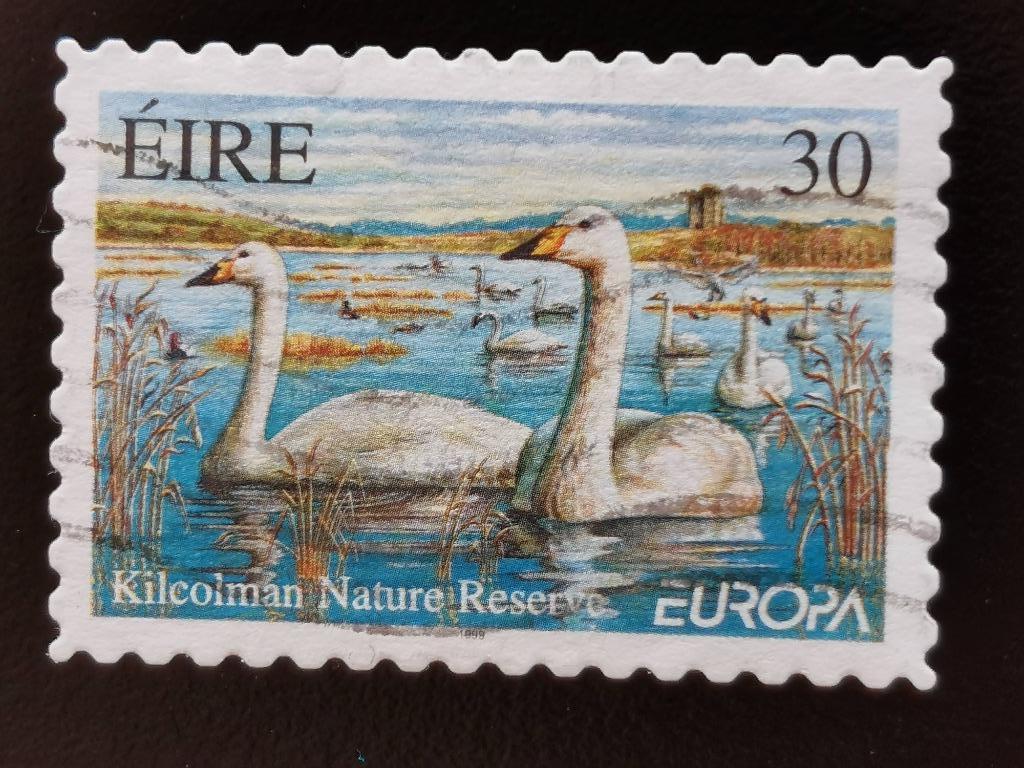 Ierland 1999 - Europa CEPT - natuur - vogels- zwanen, Ophalen of Verzenden, Ierland, Gestempeld
