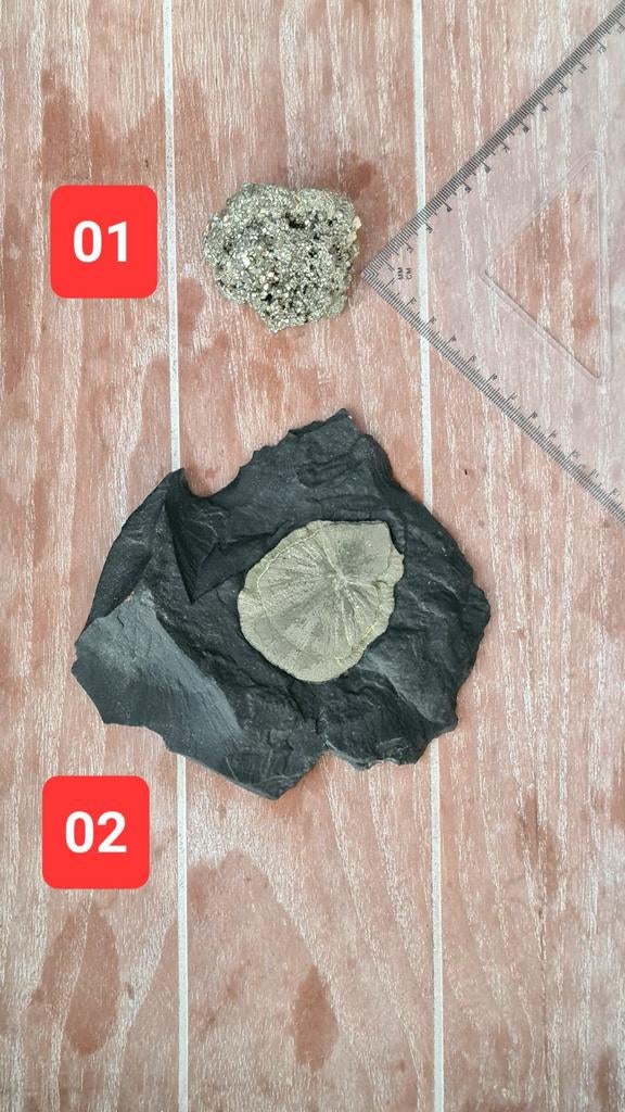 Verschillende mineralen, Ophalen