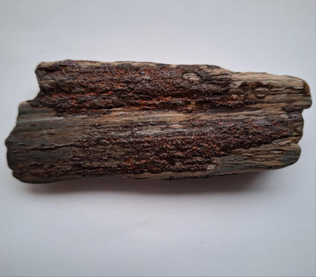 slagtand fragment Mammoet - 10 cm, Ophalen of Verzenden, Fossiel