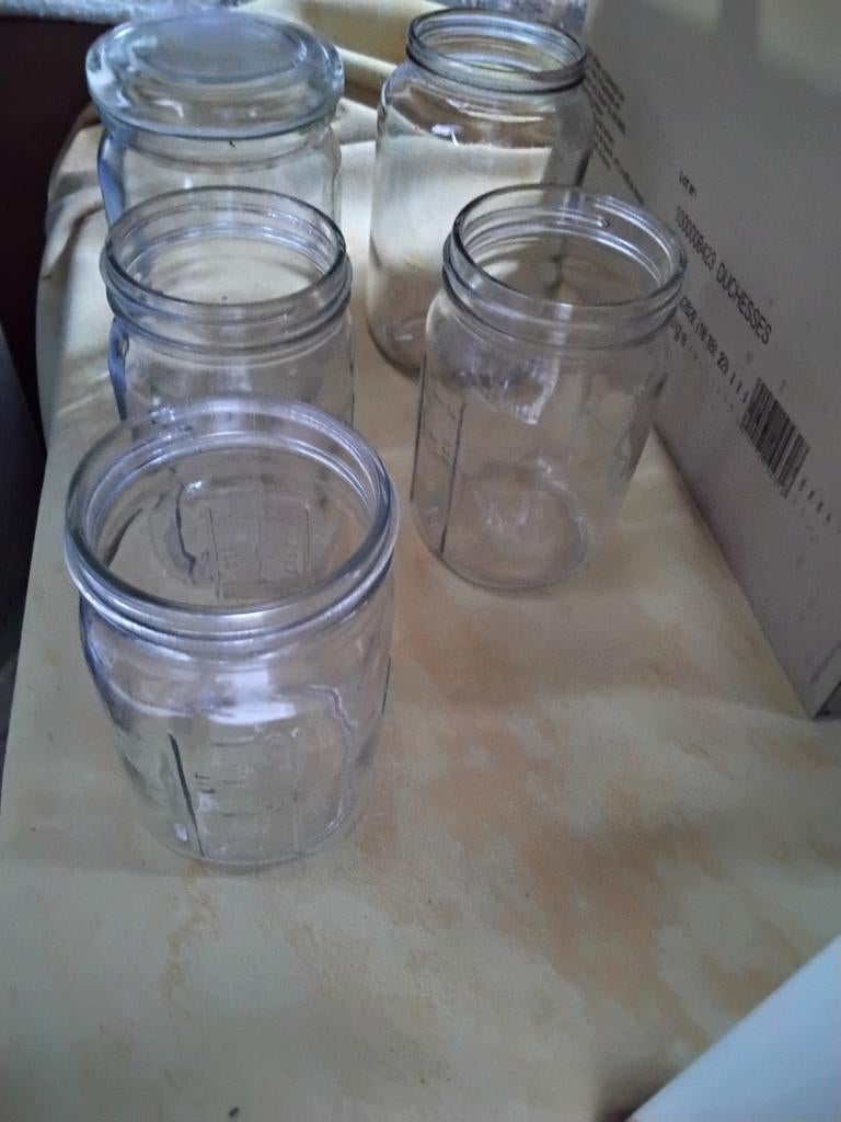 Lot de 5 anciens bocaux à stériliser VSL et autres, Enlèvement ou Envoi, Utilisé, Verre, Verre ou Verres