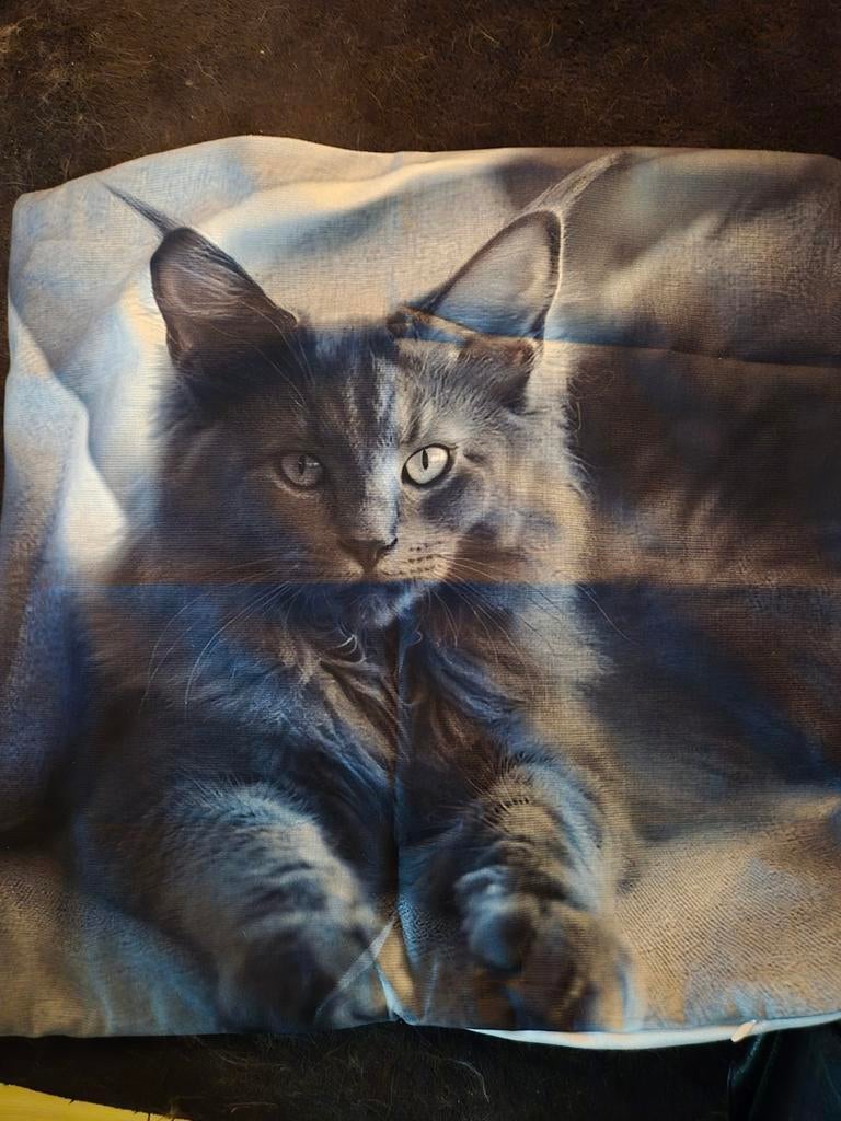 Kussensloop maine coon kat, Verzenden