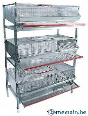 Batterie élevage triple pour cailles neuf, Animaux & Accessoires, Volatiles | Accessoires, Envoi, Neuf