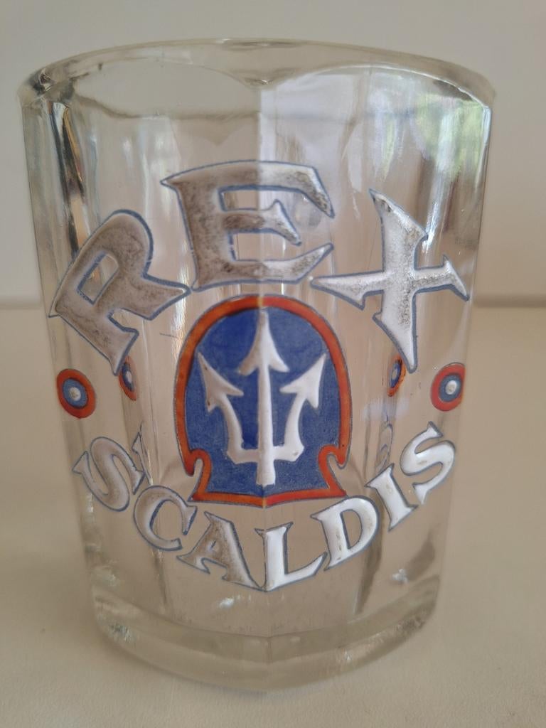 Rex Scaldis brouwerij Hingene Bornem., Verzamelen, Biermerken, Ophalen of Verzenden, Zo goed als nieuw