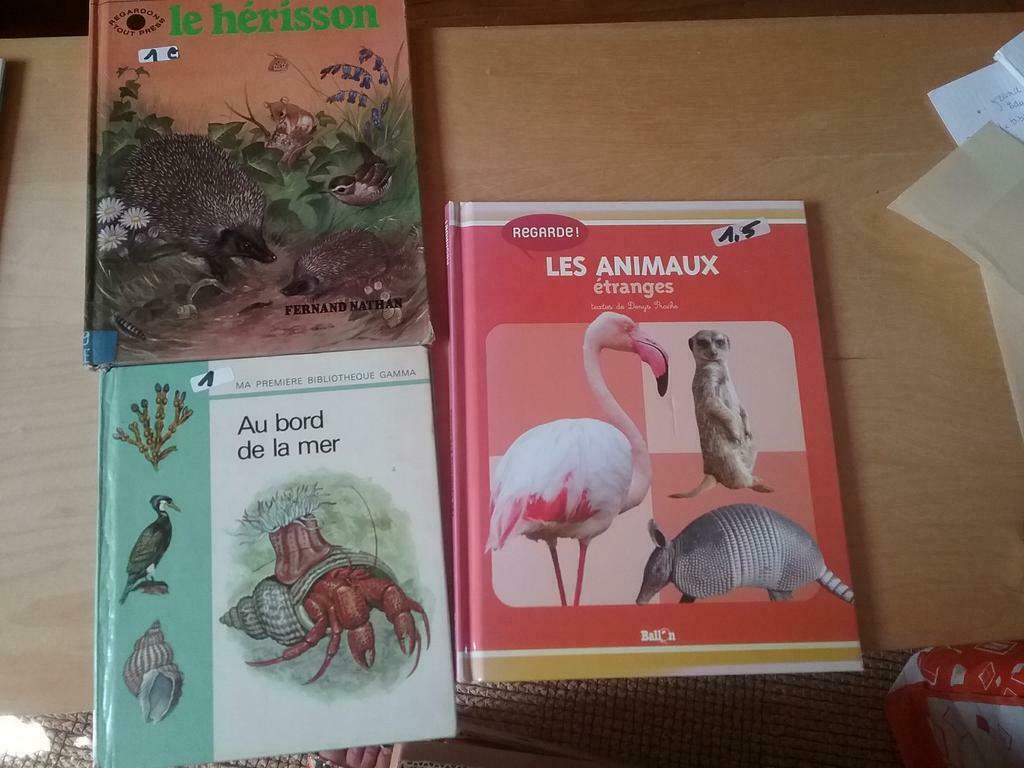 Livres et puzzles Nathan vintages, Enlèvement ou Envoi, Utilisé, Garçon ou Fille, Livre de lecture