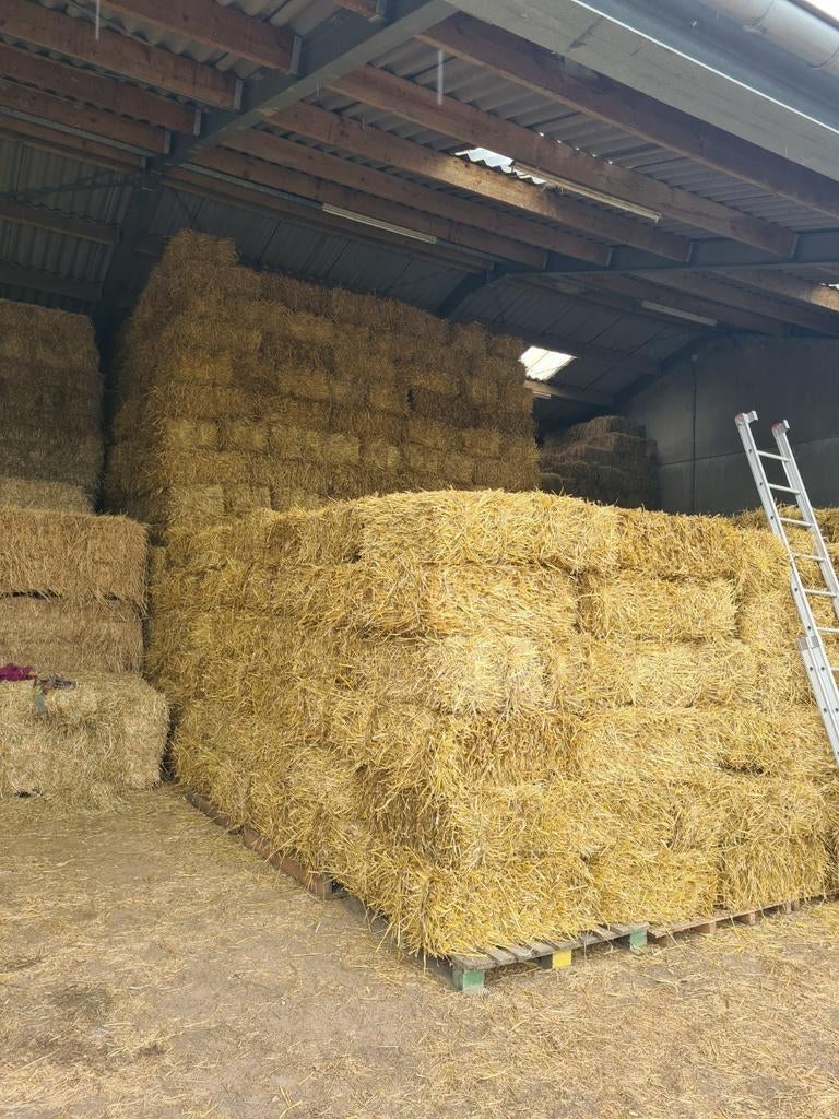 Kleine pakken tarwestro, Ophalen