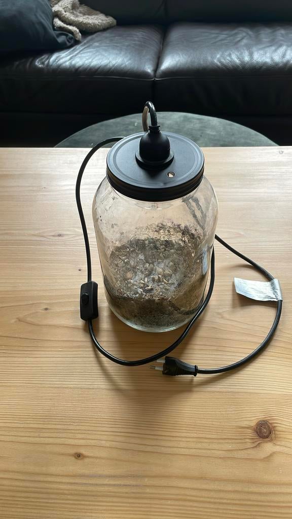Terrarium voor planten met lamp, Ophalen of Verzenden, Zo goed als nieuw, Glas