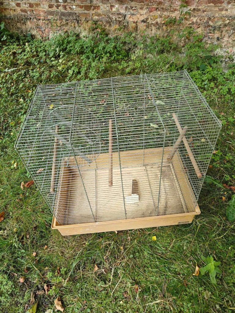 Cage écureuil, Animaux & Accessoires, Moins de 60 cm, Cage, Utilisé, Écureuil