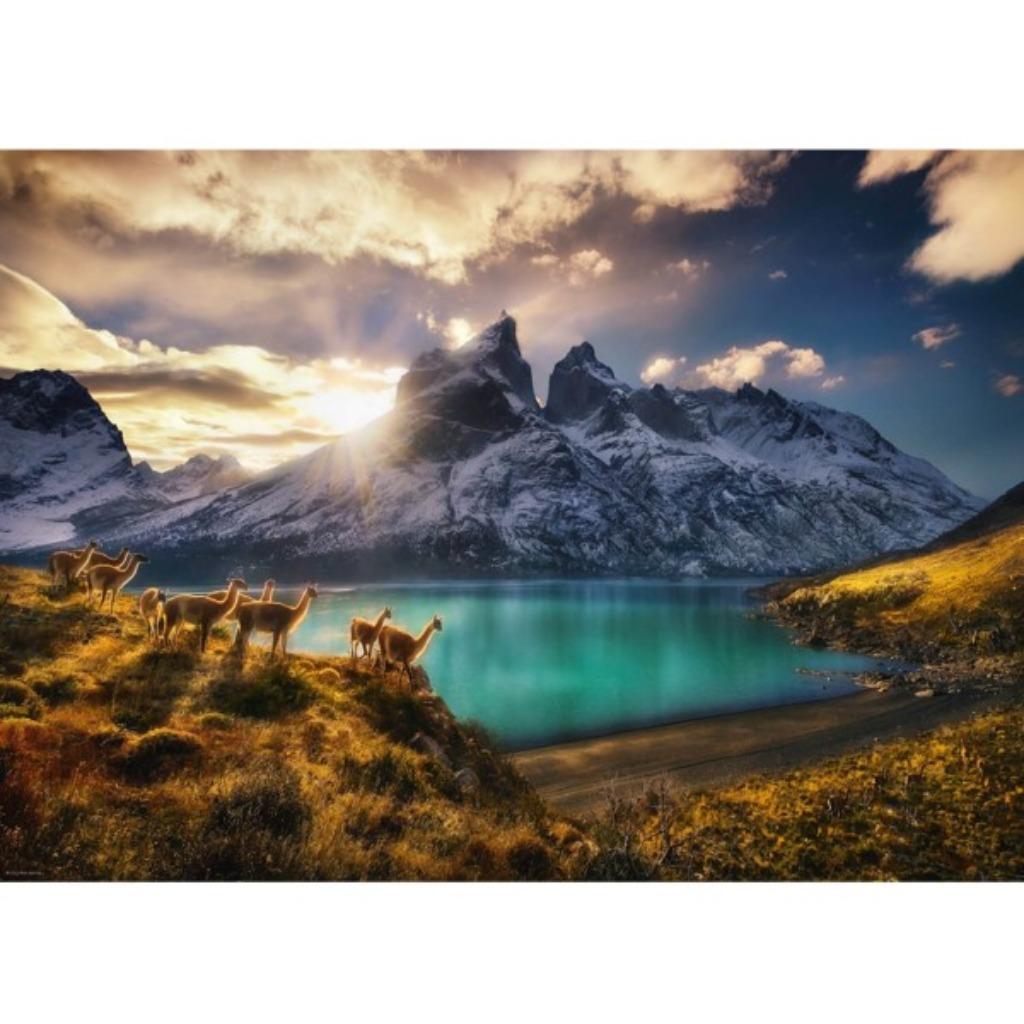 Puzzle de lamas sauvages - 1000 pièces, Enlèvement ou Envoi, 500 à 1500 pièces, Utilisé, Puzzle