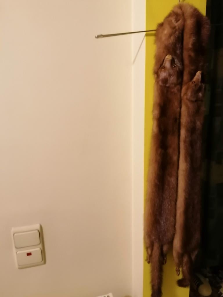 écharpe vintage en fourrure de vison véritable, Enlèvement, Comme neuf
