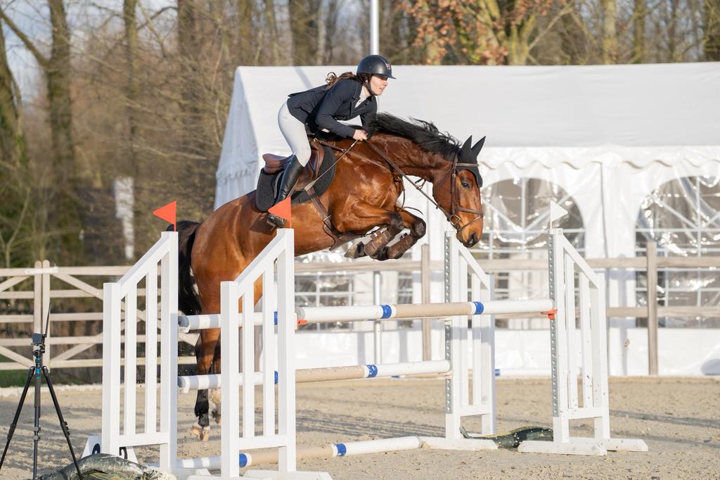 Allround spring/cross paard zoekt halve stal, Dieren en Toebehoren