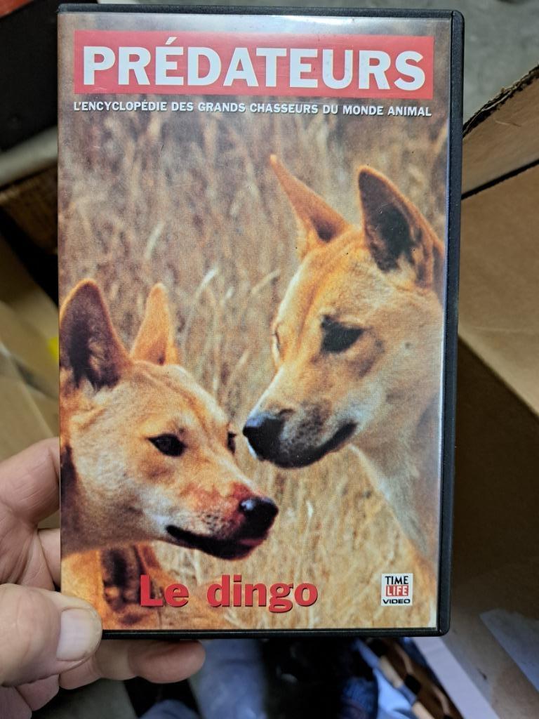 A vendre cassettes vhs, Enlèvement, Neuf, dans son emballage, Documentaire