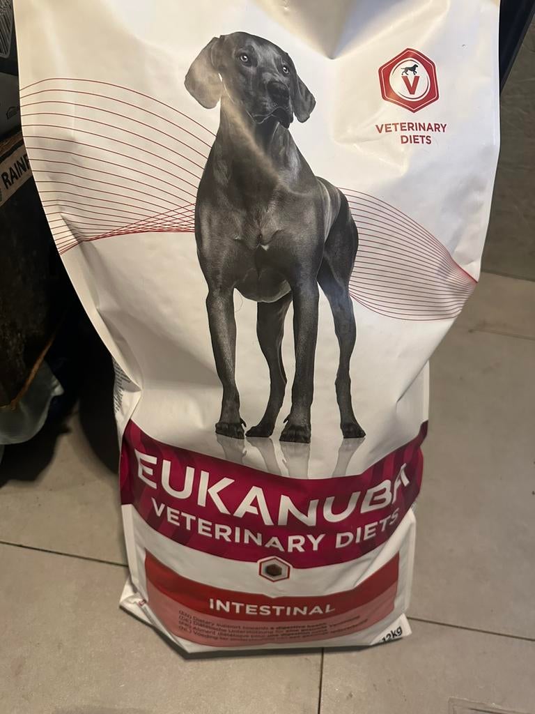 EUKANUBA INTESTINAL, Dieren en Toebehoren, Ophalen