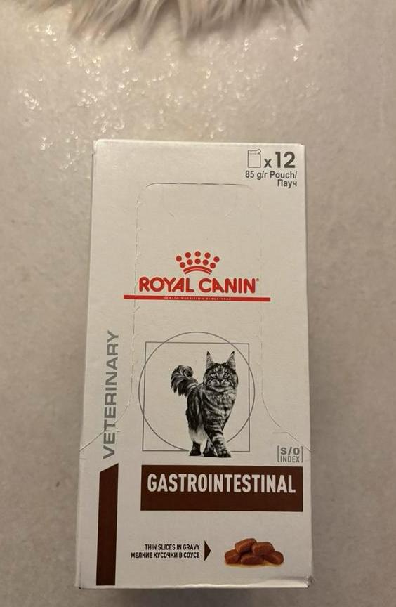 Nourriture pour chat Royal Canin GASTRO INTESTINAL sachets, Enlèvement ou Envoi, Chat