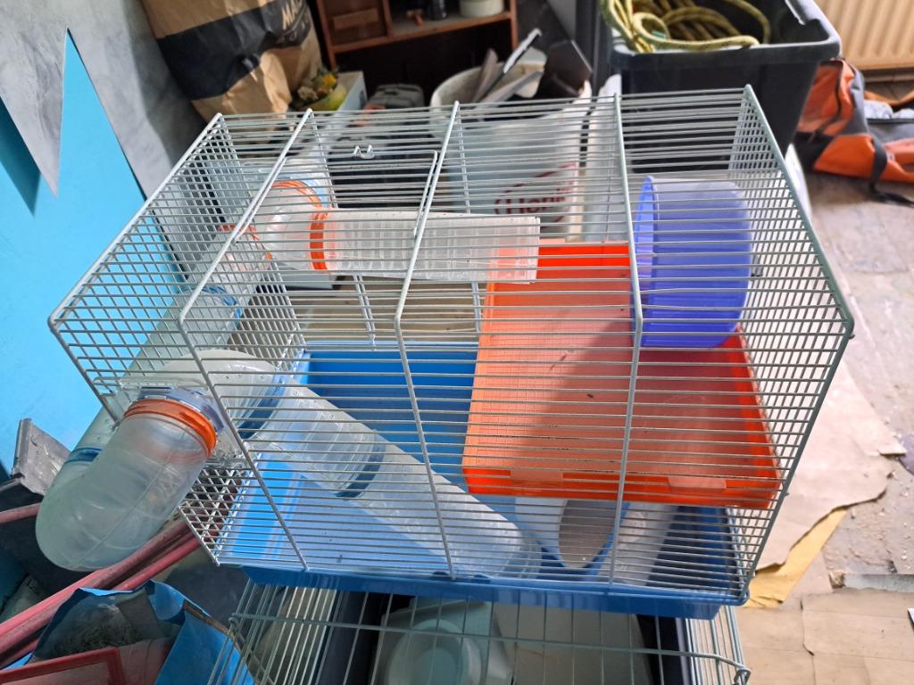 Cage pour hamster ou gerbille, Enlèvement, Utilisé