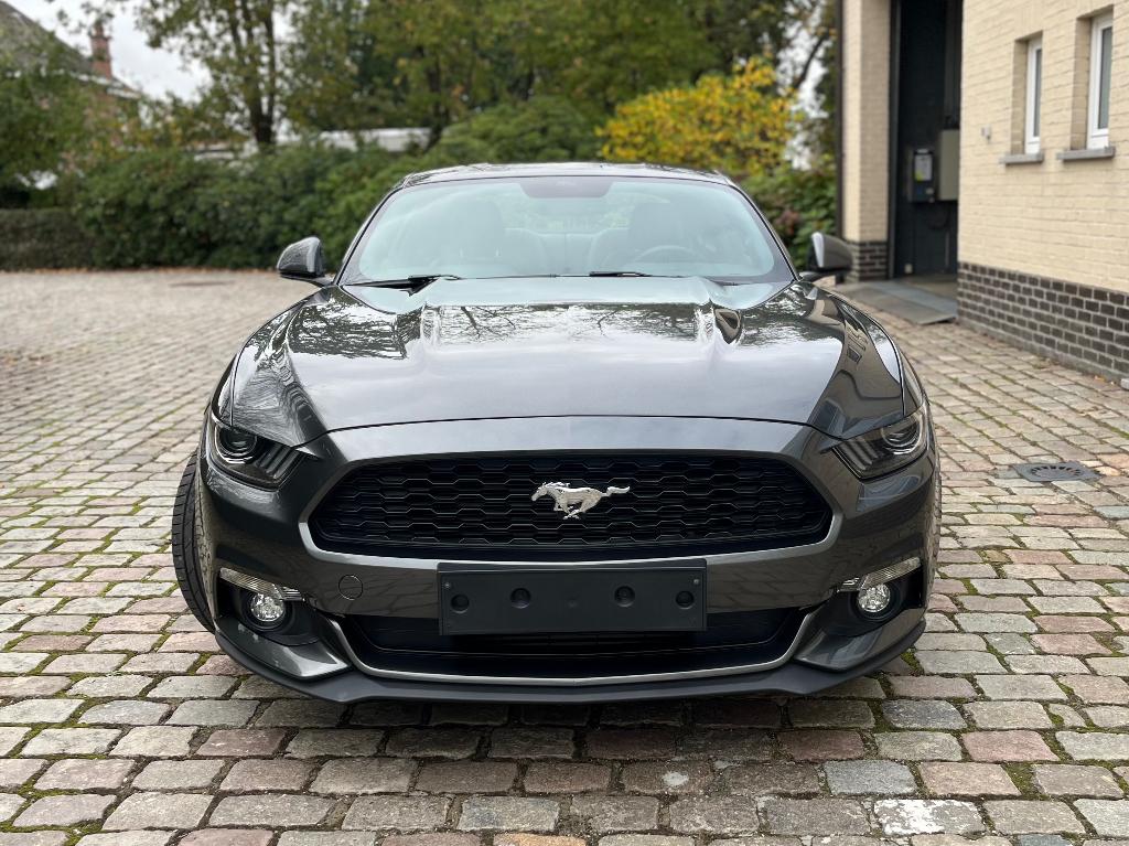 Ford Mustang 2.3 Ecoboost Automaat ### 57000 km ###, Automaat, 4 zetels, Achterwielaandrijving, 233 kW