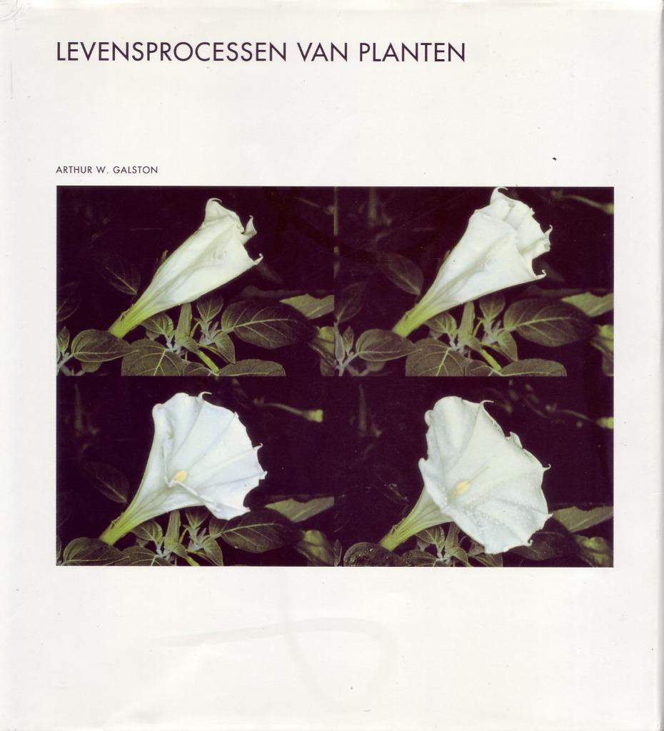 A.W. GALSTON-  LEVENSPROCESSEN VAN PLANTEN Natuur en Technie, Livres, Nature, Enlèvement ou Envoi, Comme neuf, Fleurs, Plantes et Arbres