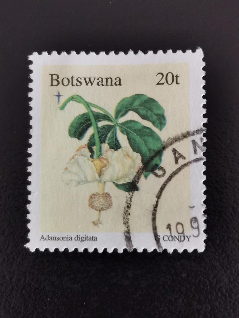 Botswana 1996 - Noël - fleurs - Baobab africain, Enlèvement ou Envoi, Autres pays, Affranchi